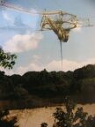 305 Arecibo 2.JPG (38 KB)